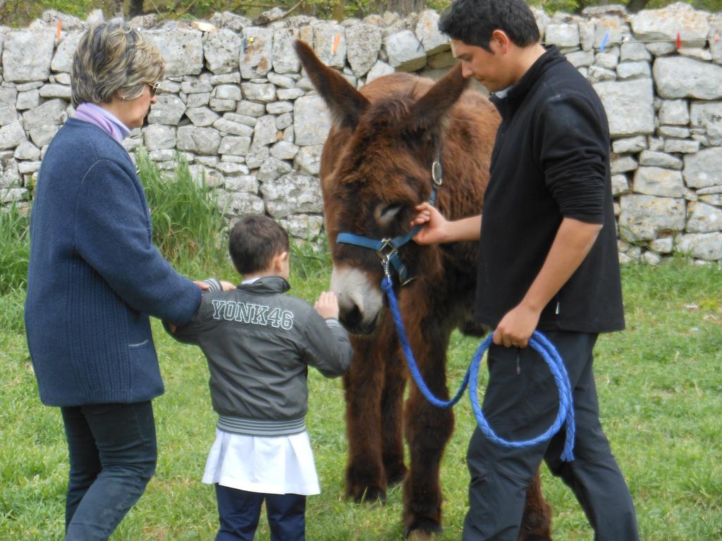 Masseria Ferri 奥斯图尼 外观 照片