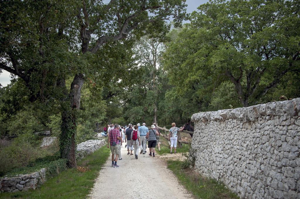 Masseria Ferri 奥斯图尼 外观 照片